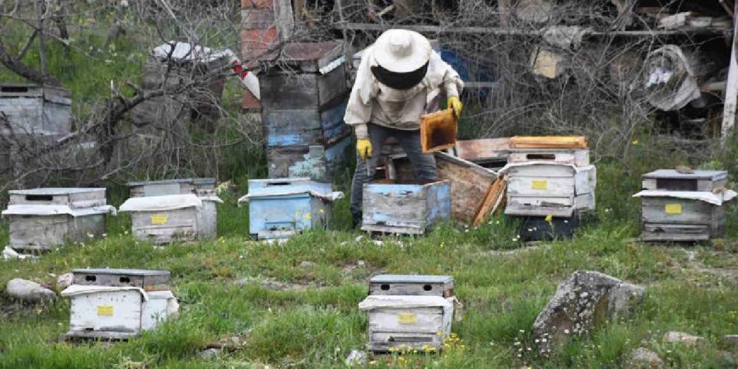 Dede mesleğini köyünde sürdürüyor! Kovan başına 15 kg bal hedefliyor 5